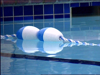 Swim club offers olive branch after racism allegations